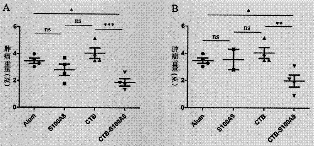 PG电子·游戏官方网站