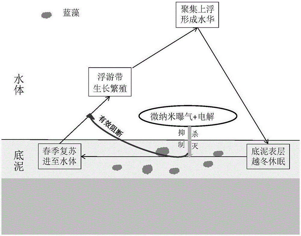 
七月最惨国漫 评分从九分直跌五分 只因bgm侵权|PG电子